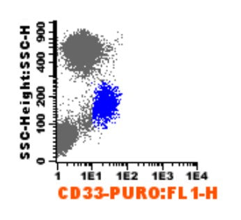 Flow cytometry dot plot showing fluorescence vs. side scatter of normal human peripheral blood stained with Mouse anti-human CD33 antibody. Monocytes are highlighted in blue, staining strongly. Granulocytes (high SSC) are weakly stained, and lymphocytes (low SSC) are negative
