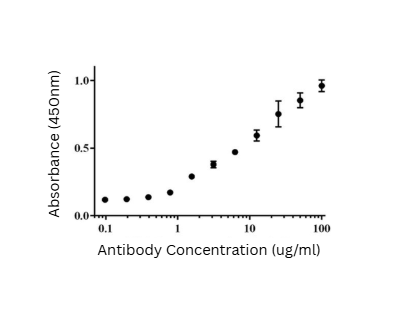 ELISA results demonstrating binding of IQ413 to HSV1 viral particles. An ELISA plate was coated with purified HSV1 particles, IQ413 was added at the concentrations shown, and binding detected by an anti-mouse IgG: HRP secondary antibody. 