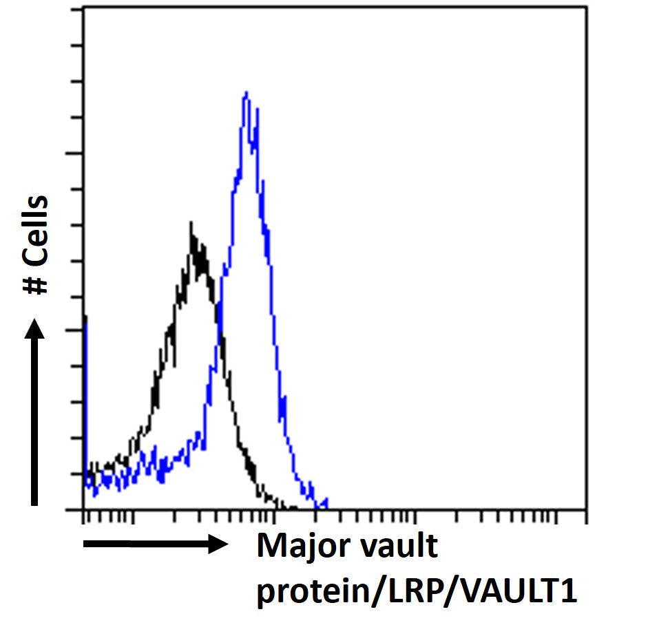 Blue line: Anti Major Vault Protein Clone 1032 Flow cytometry analysis of paraformaldehyde fixed A549 cells, permeabilized with 0.5% Triton. Primary incubation 1hr (1:100 dilution) followed by Alexa Fluor 488 ® conjugated goat anti-rabbit IgG (1:1000 dilution). 
Black line: Isotype control 