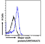 Blue line: Anti Major Vault Protein Clone 1032 Flow cytometry analysis of paraformaldehyde fixed A549 cells, permeabilized with 0.5% Triton. Primary incubation 1hr (1:100 dilution) followed by Alexa Fluor 488 ® conjugated goat anti-rabbit IgG (1:1000 dilution). 
Black line: Isotype control 