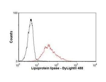 Lipoprotein Lipase Monoclonal Antibody [5D2]