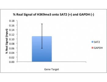 ChIP using 1ug chromatin and 2ug Anti H3K9me3 Antibody (IQ549) clone 6F12-H4 