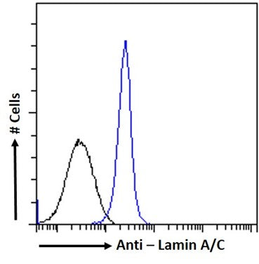 Blue line:  Flow cytometric analysis of paraformaldehyde fixed HeLa cells, permeabilized with 0.5% Triton. Primary incubation 1hr (1:100 dilution) followed by Alexa Fluor 488 ® conjugated goat Anti-mouse IgG (1:1000 dilution).  Black line: Anti-Unknown Specificity Isotype control 