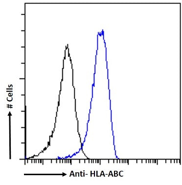 Blue line:  Flow cytometric analysis of paraformaldehyde fixed Daudi cells. Primary incubation 1hr (1:50-1:100 dilution) followed by Alexa Fluor 488 ® conjugated goat Anti-mouse IgG (1:1000 dilution).  Black line: Anti-Fluorescein Isotype control 