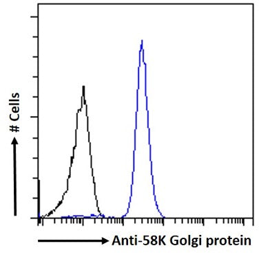 Blue line:  Flow cytometric analysis of paraformaldehyde fixed HepG2 cells, permeabilized with 0.5% Triton. Primary incubation 1hr (1:50-1:100 dilution) followed by Alexa Fluor 488 ® conjugated goat Anti-mouse IgG (1:1000 dilution).  Black line: Anti-Fluorescein Isotype control 